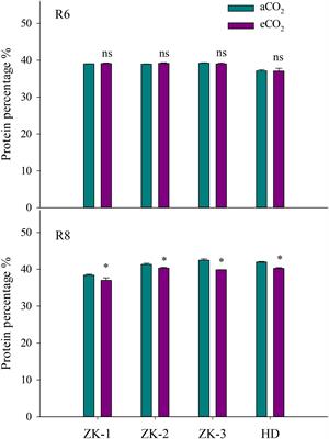 Impact of Elevated CO2 on Seed Quality of Soybean at the Fresh Edible and Mature Stages